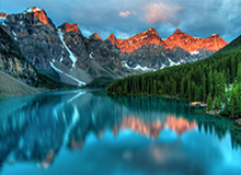 米乐：让米香点亮每一个清晨与夜晚